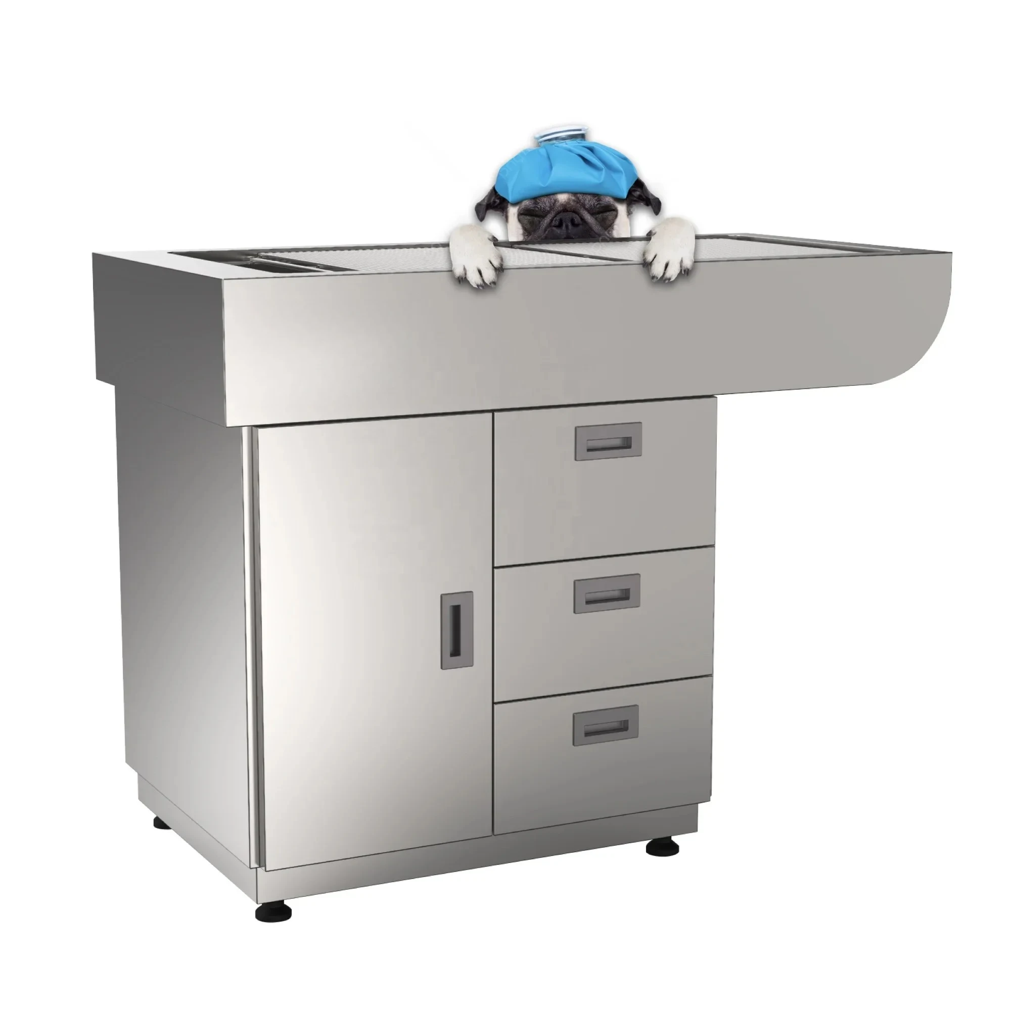 Veterinary equipment Portable Stainless steel 304 new type pet examination treatment table veterinary surgical operation table