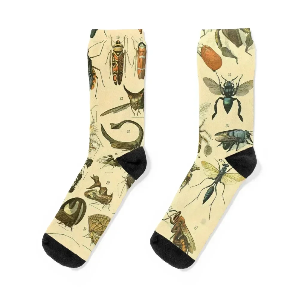 Adolphe Millot Insectes B Socks cute designer brand Stockings man Socks Girl Men's