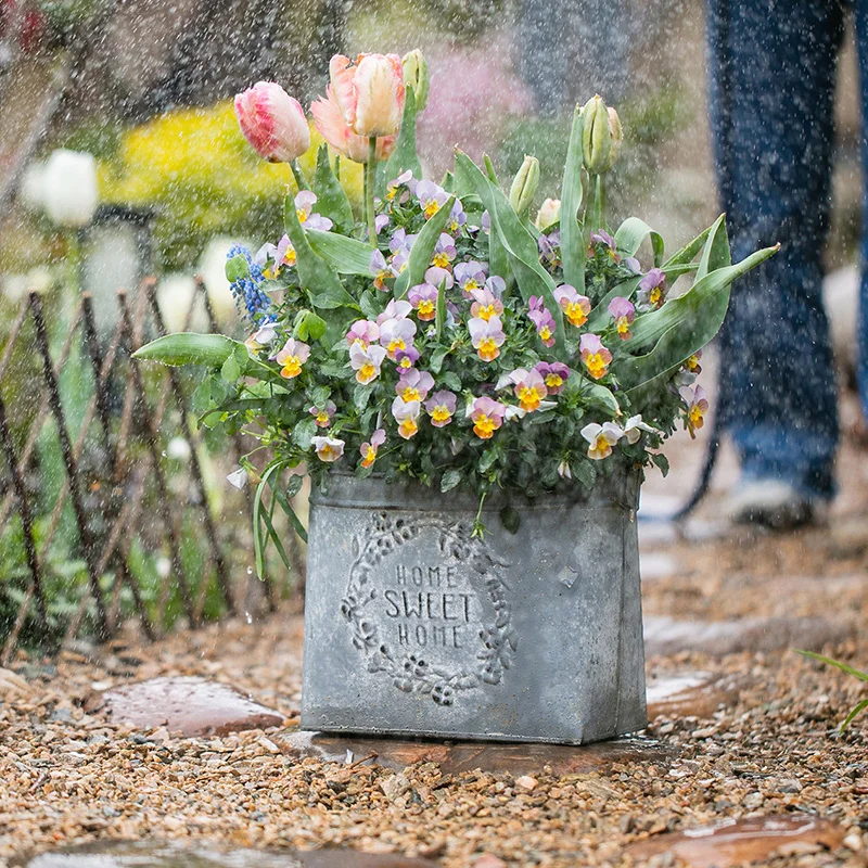 

Vintage Iron Flower Pot Metal Bucket Planter for Fresh and Dried Flowers Rustic Succulent Container with Handle Floral Decor
