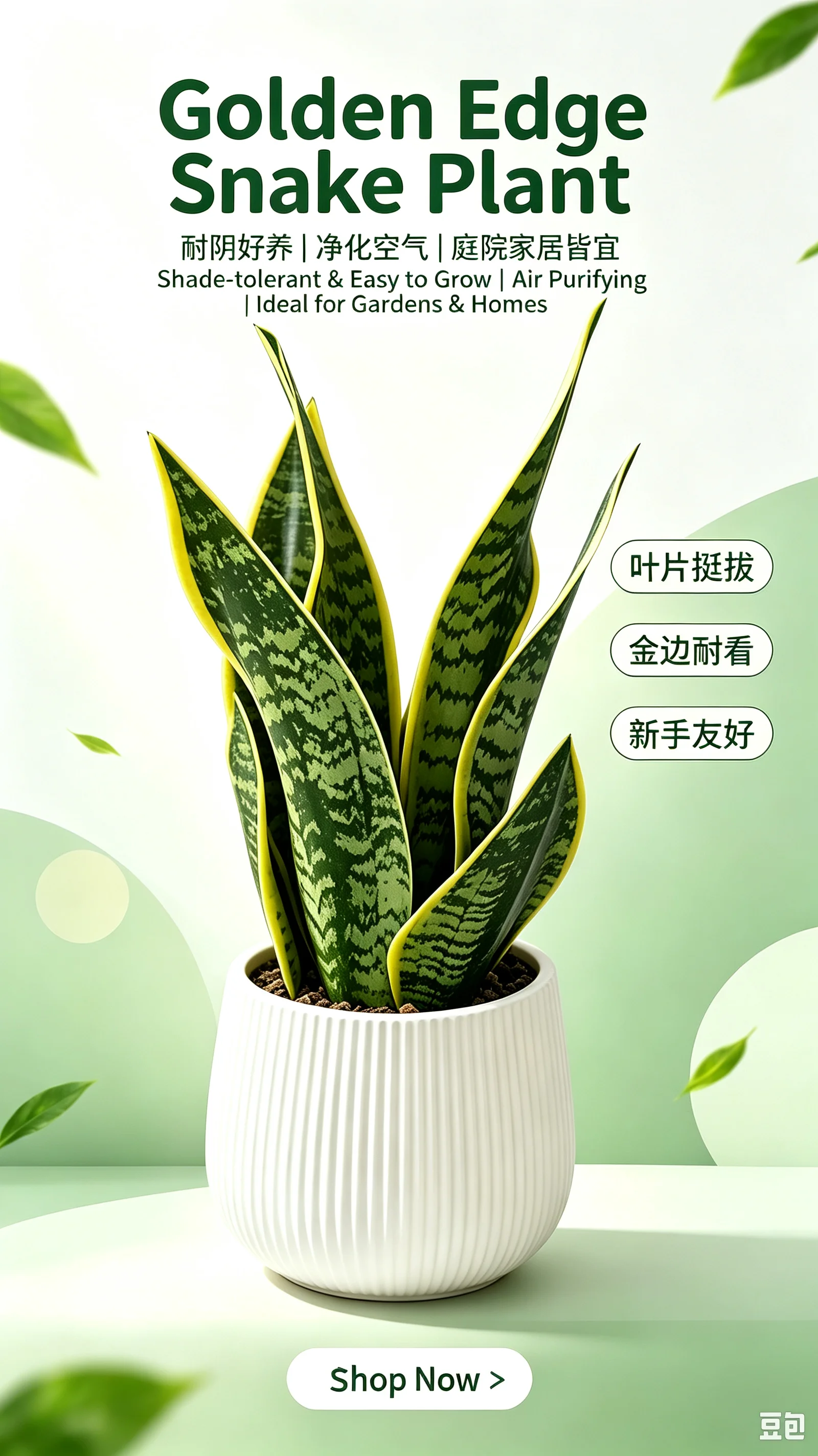 ต้นไม้ประดิษฐ์ลายงูในกระถางเซร - Snake Plant Ceramic บทวิจารณ์และราคา