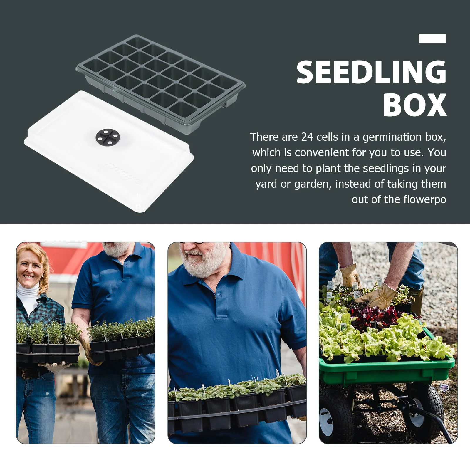 2 قطعة 24-خلية صندوق إنبات النبات الثقيلة البلاستيك صينية الحضانة لبدء البذور حديقة تزايد عدة الخضار كاتب #3