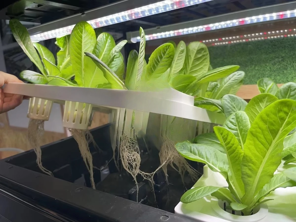 Armário Inteligente de Aquapon - Aquaponics Home Kit avaliação e preço