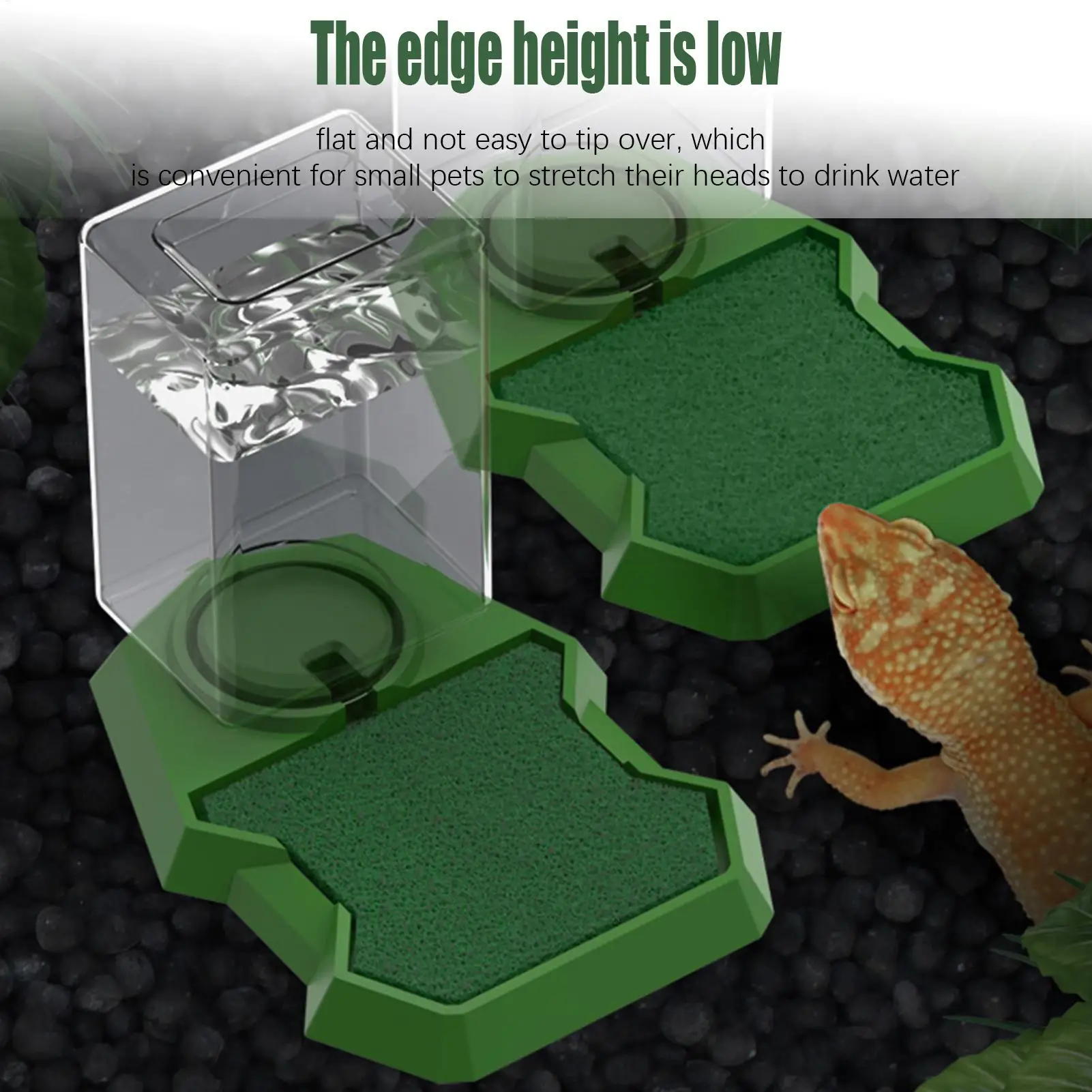 Reptile Water Dispenser Feeder Feeding Accessories Pet Waterer Water Bottle for Bearded Dragon Terrarium Geckos Tree Frog