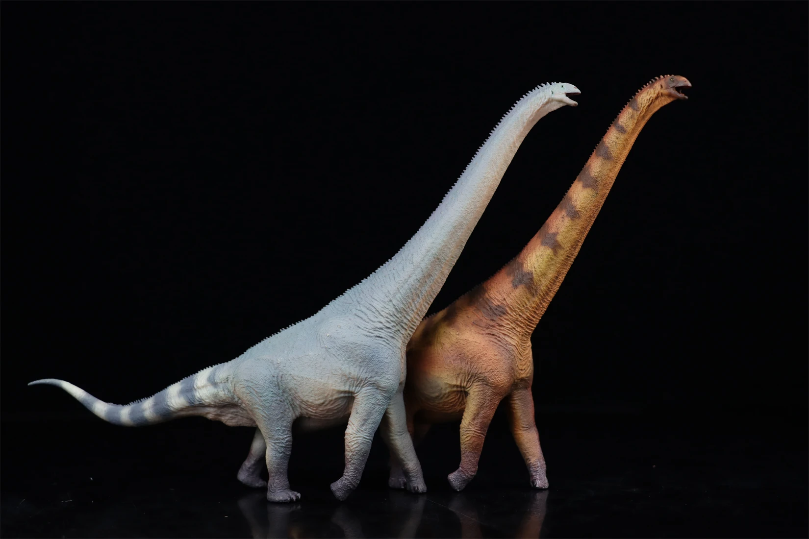 HAOLONGGOOD 1:35 Euhelopus モデル Sauropoda 恐竜 Euhelopodae 動物フィギュアコレクションシーン装飾誕生日ギフト