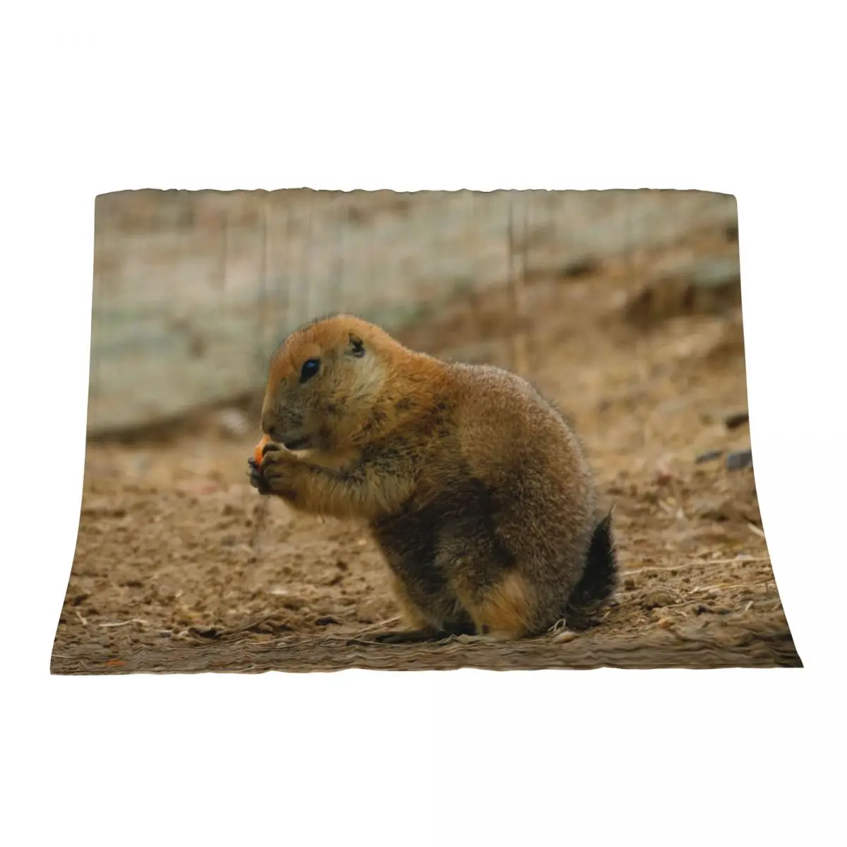 

Prairie dog eating a carrot Throw Blanket Bed Fashionable warm for winter blankets ands Blankets