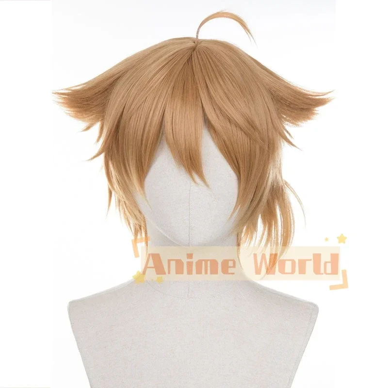 Virtual YouTuber Fushimi Gaku Cosplay Wig Halloween Christmas Woman Men Adult Wig