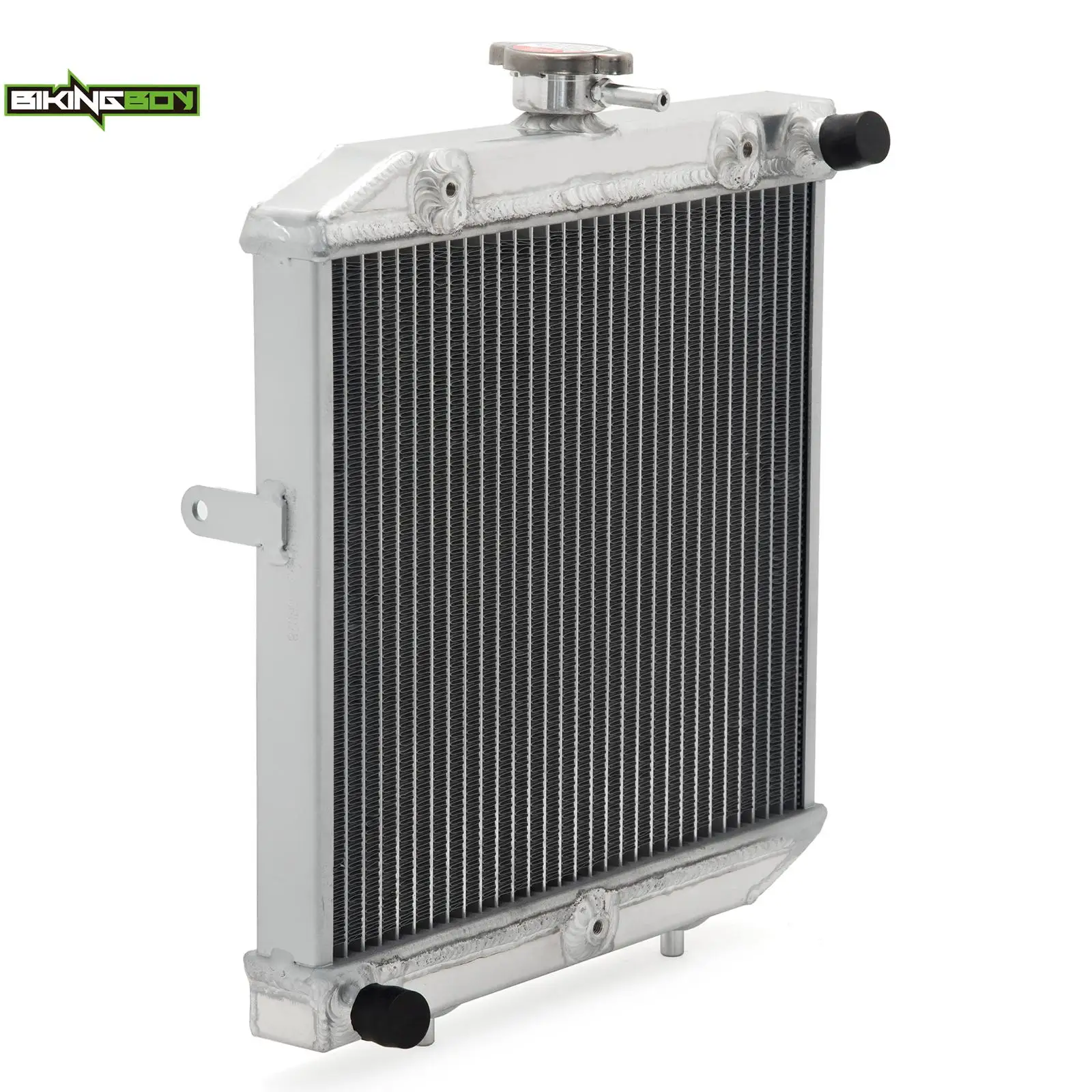 BIKINGBOY Radiateur de refroidissement moteur pour Pioneer 500 15-22 Pioneer 1000 16 17 18 19 20 21 TRX700XX 08 09 TRX250R Fourtrax 86
