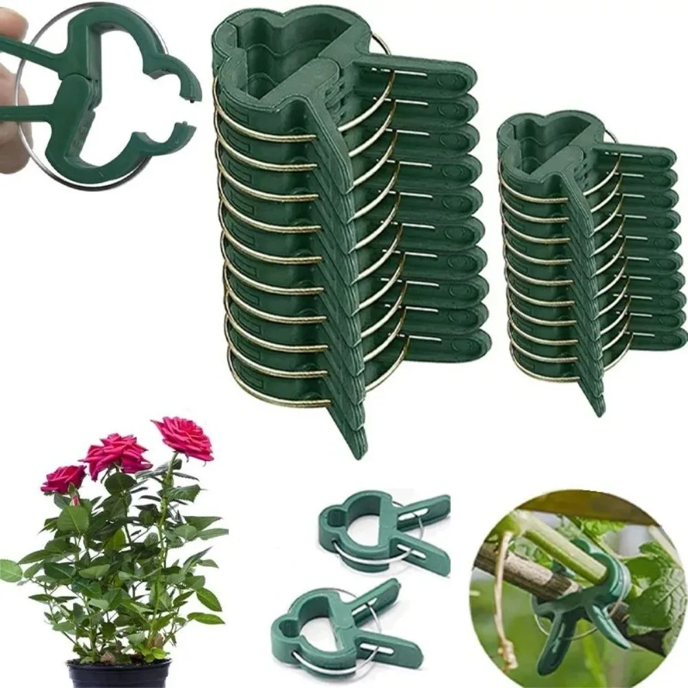 

10Pcs Durable Plastic Garden Plant Support Clips Reusable Lever Ring Plant Fixing Clip Green Lever Ring Clips Vine Support