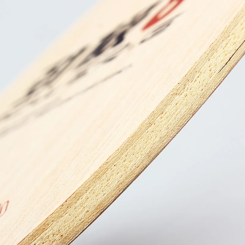 DHS PG9 POWER G9 G8 G7 PG 9 7-Schicht OFF++ Tischtennisschläger für Pingpong-Schläger, Vergleichbar mit Hurricane Long – Detail 7