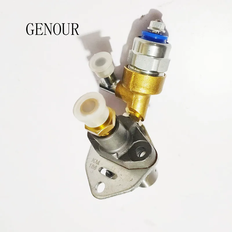 FUEL INJECTOR PUMP ASSY FOR YANMAR 186F 186FA DIESEL FREE POSTAGE 5KW 5.5KW GENERATOR CULTIVATOR INJECTION WITH SOLENOID VALVE