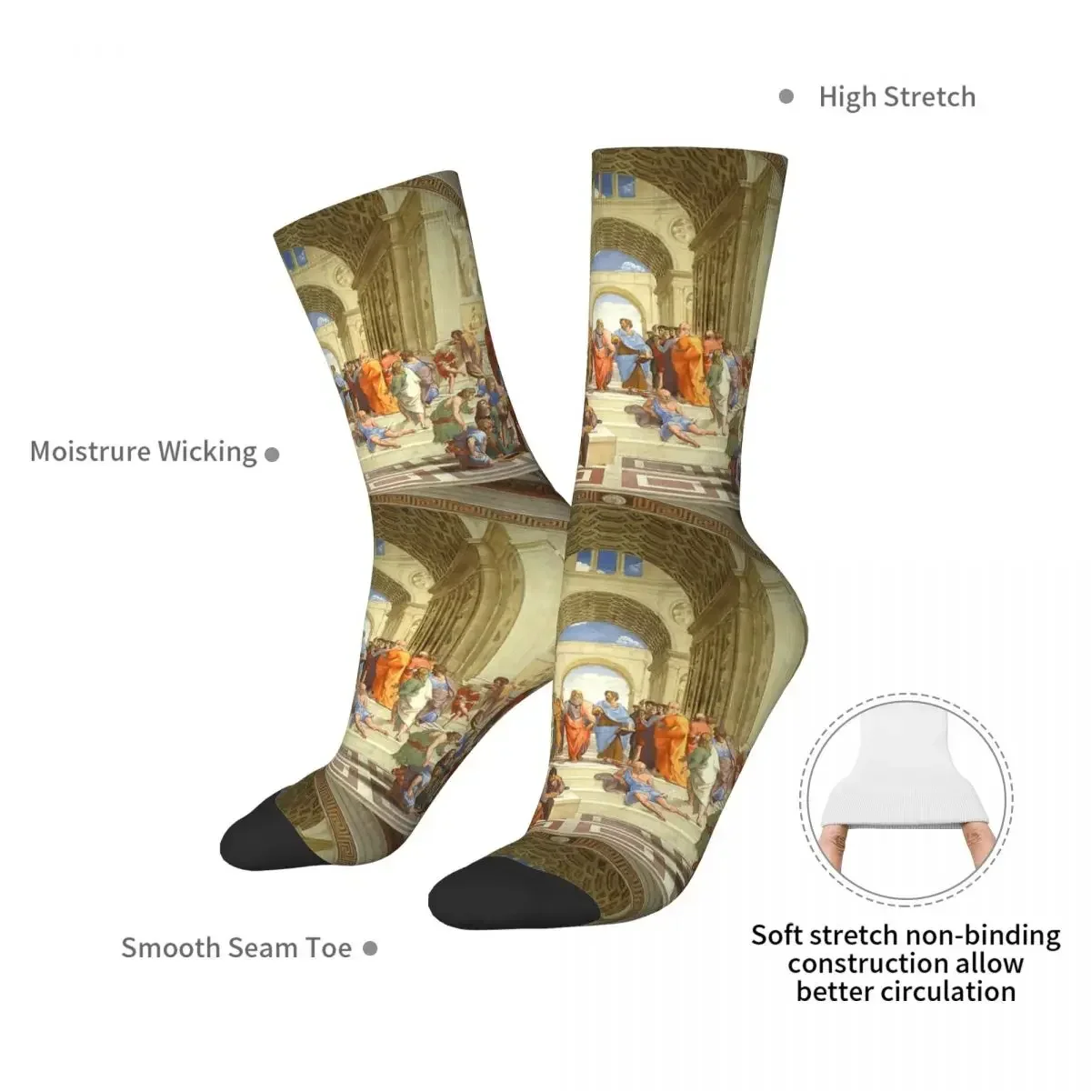 The School Of Athens Socks Harajuku Sweat Absorbing Stockings All Season Long Socks Accessories for Unisex Gifts