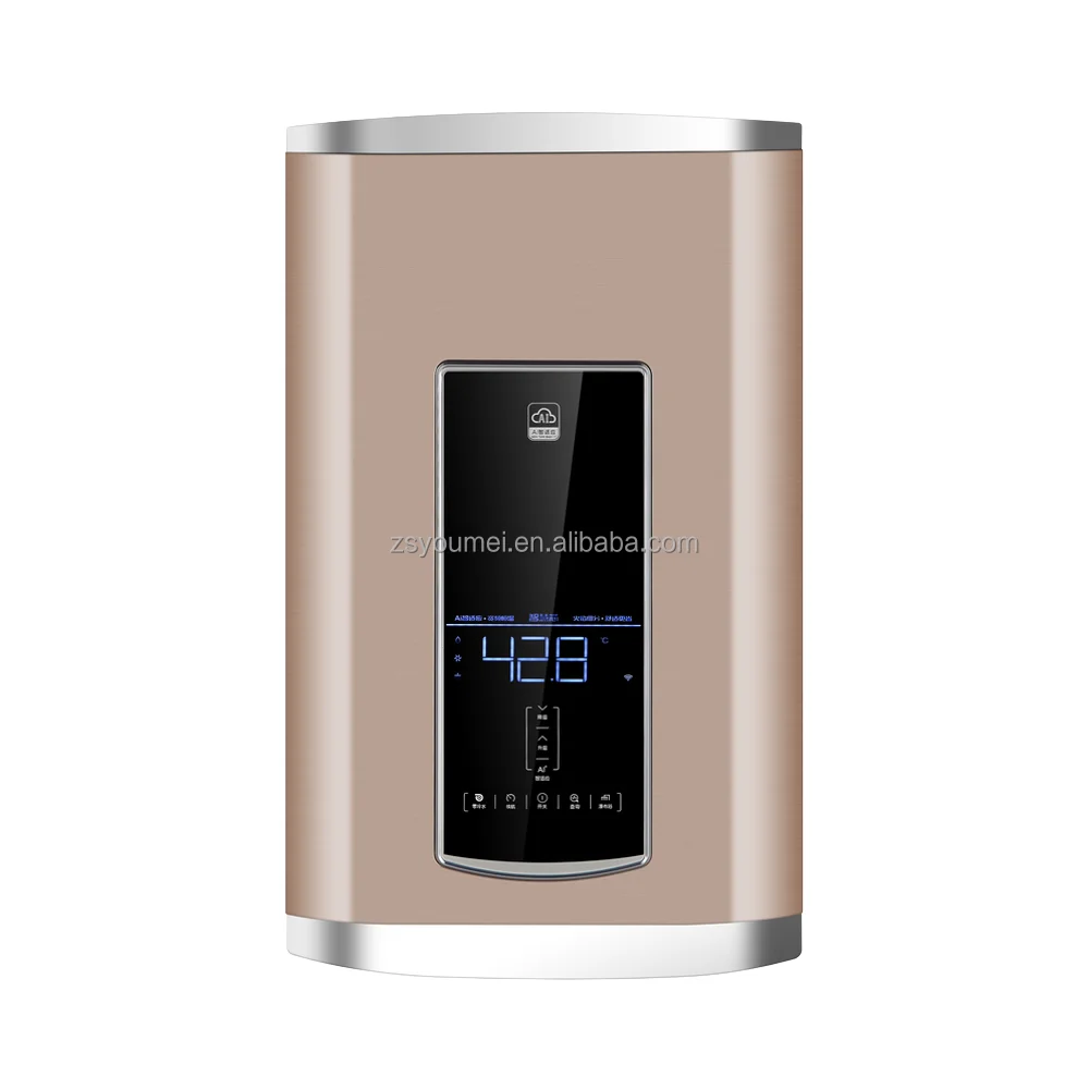 

Tankless Instantaneous Geyser Shower Bathroom CE Certified Domestic Gas Water Heaters Remote Controller For RV & Outdoor Use