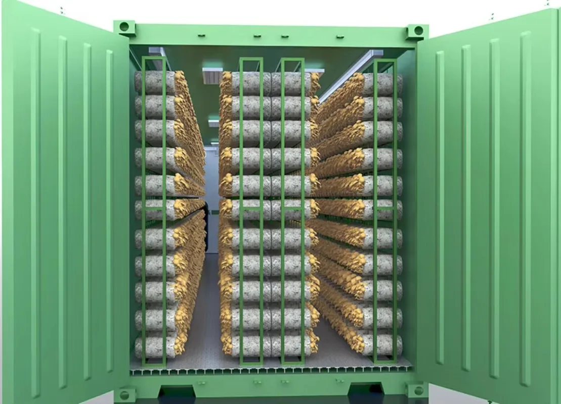 Custom Turnkey Project Fully Automatic Mushroom-Farm-Container Shipping Container Mushroom Farm Smart Climate Control
