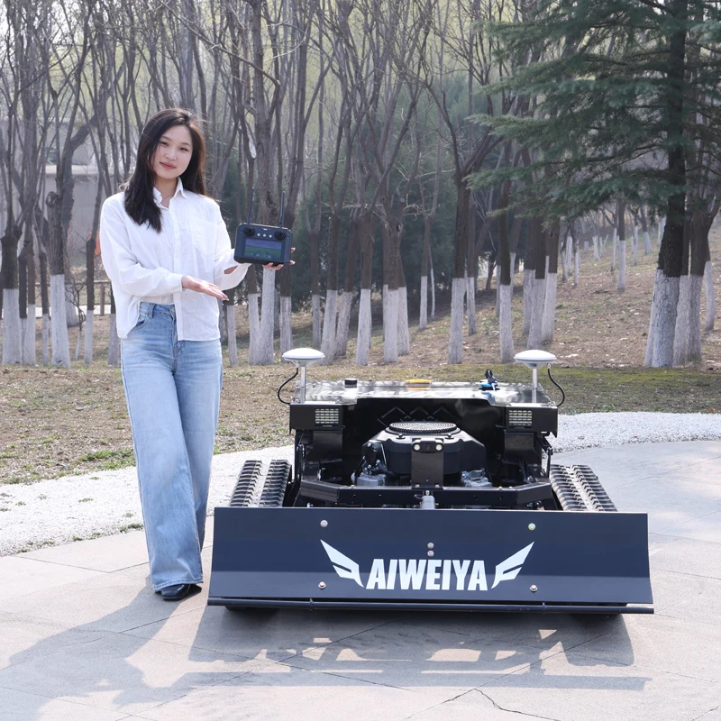 Customized Free Shi…