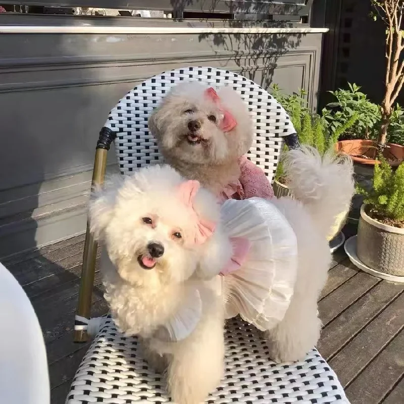 Wedding Dress Skirt for Pets Summer Thin Bear Teddy  Dress with Leash Buckle Princess Style Dog Clothes Raincoat