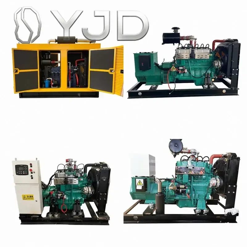 Junwei Cogeneration Chp Biogas Natural Generator 10kw Portable LPG Propane 24V DC Electric Start