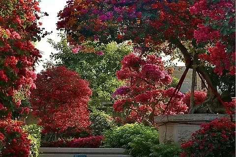 

4Pcs 118mm 1/10 Short Course Truck Tire Tyre with 12mm 14mm 17mm Wheel Hex for Trxs Slash ARRMA SENTON HSP HPI RC Car