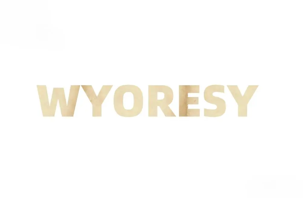 WYORESY For Sonos (Era300) Surround Speaker Wall Mount Bracket Solid Frame Secure WiFi Heavy Duty Anti Shift Reinforced Support