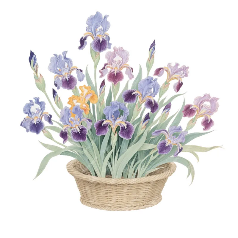 Three Ratels CAA109 Beautiful orchid basket Art Wall Decals for Home Decor Bathroom Decals