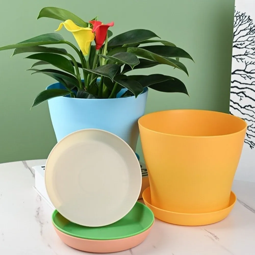 8pcs/set Candy Color Flower Pot Plastic Round Plant Pot with Tray with Drainage Holes Succulent Plant