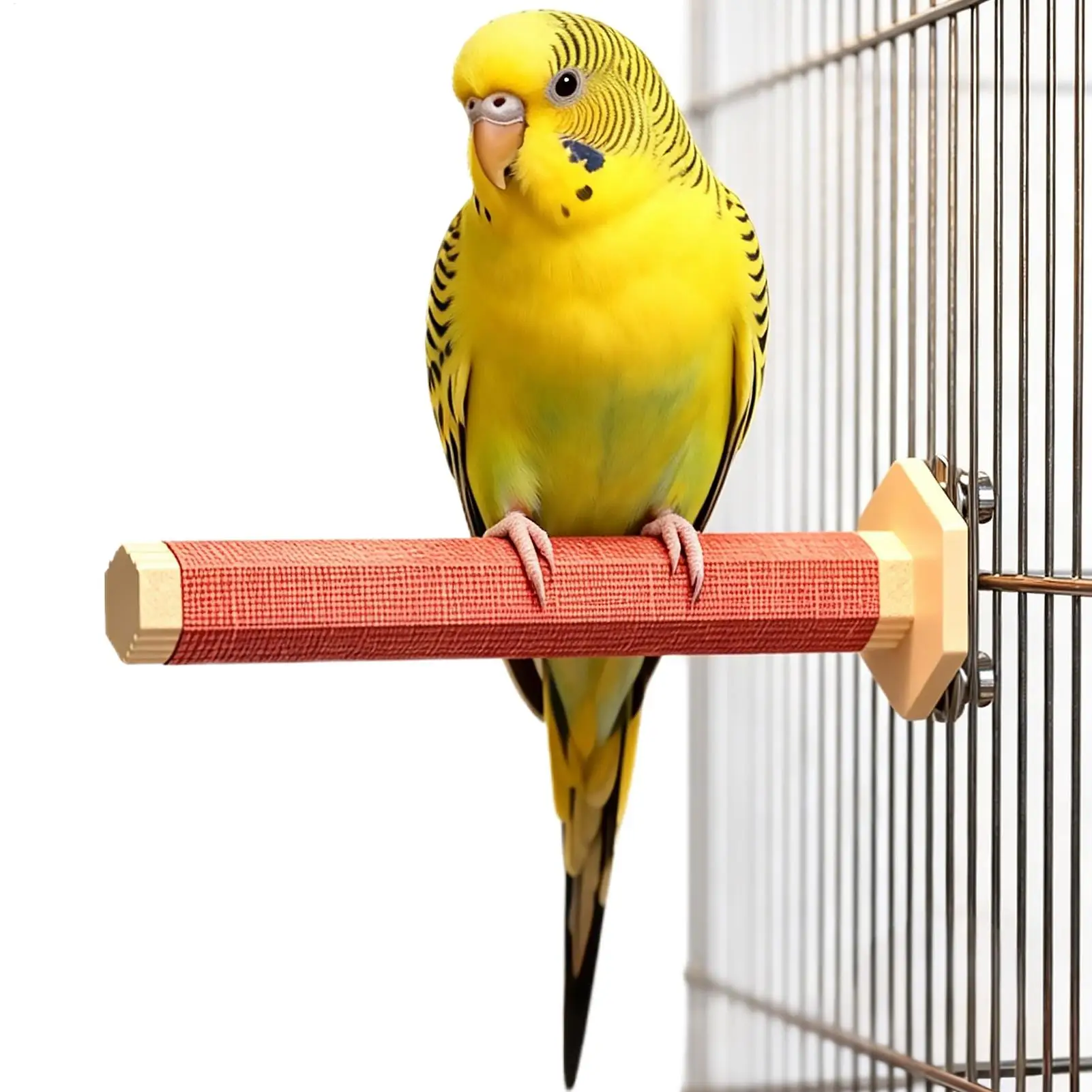 Calentador para Jaulas de Pájaros, 5W, Ignífugo, Eléctrico, Portátil, para Calentar Perchas de Calopsitas, Loros, Periquitos, Pinzones, Canarios, Guacamayos, para Interiores y Exteriores