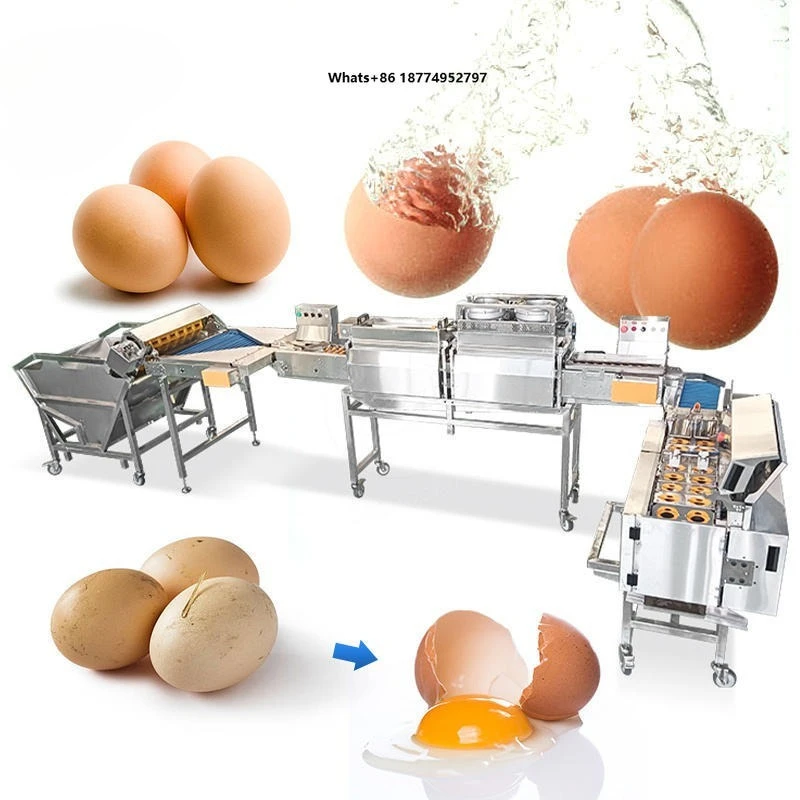 ORME Complete Egg Washing Grading Production Line for Poultry Egg Farm Processing Workshop Egg Washing Drying Production Line