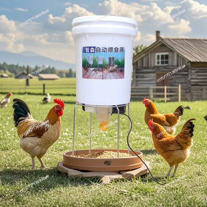 Chicken automatic feeder pigeon chicken duck carrier pigeon feeding trough timing automatic