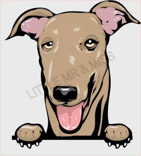 For GREYHOUND / WHIPPET Peeking Dog Breed Color Window Laptop Sticker w/proof