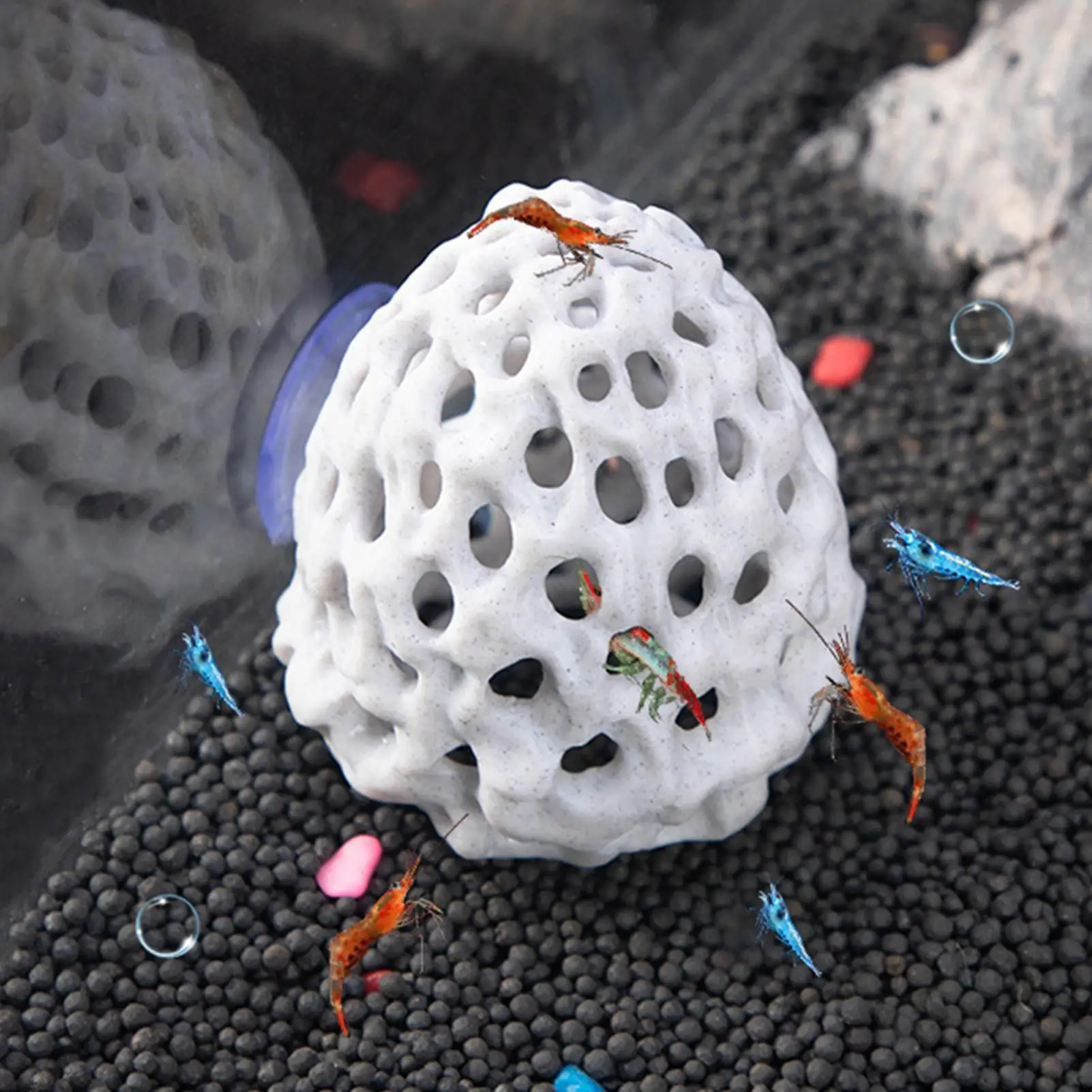 

Porous Shrimp Hide Cave for Aquarium Natural Safe Fish Hiding Spot Breeding Shelter Tank Ornament for Betta Guppy Small Fish