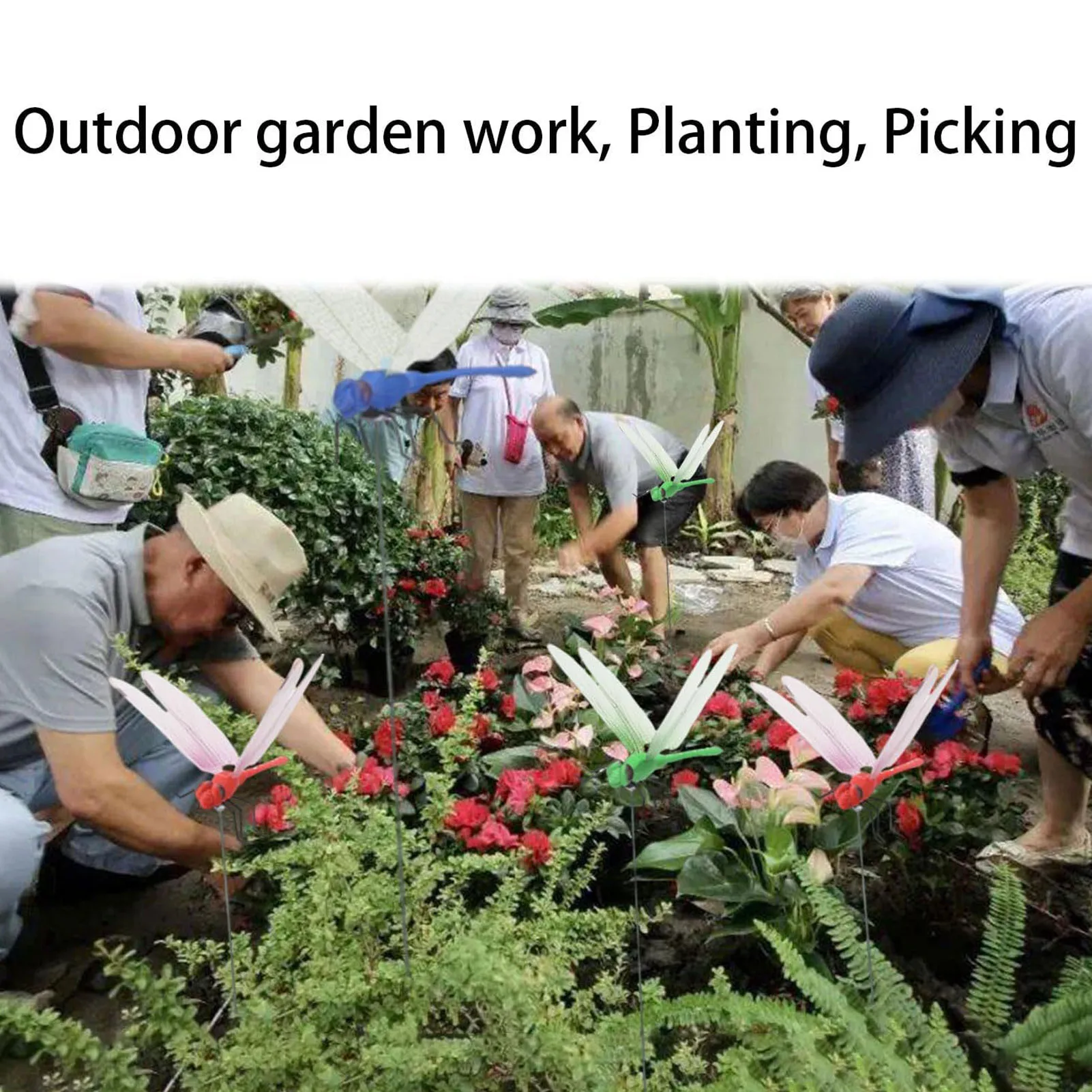 مقطع اليعسوب وهمية في الهواء الطلق ، مقاطع الزخرفية للحديقة ، الفناء ، الحرف اليدوية ، ماء ، 3d