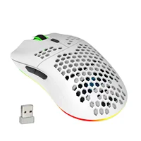 Ratón inalámbrico para juegos HXSJ T66 RGB 2,4G, ratón de carga con iluminación RGB y diseño ergonómico de DPI ajustable para ordenador portátil de escritorio