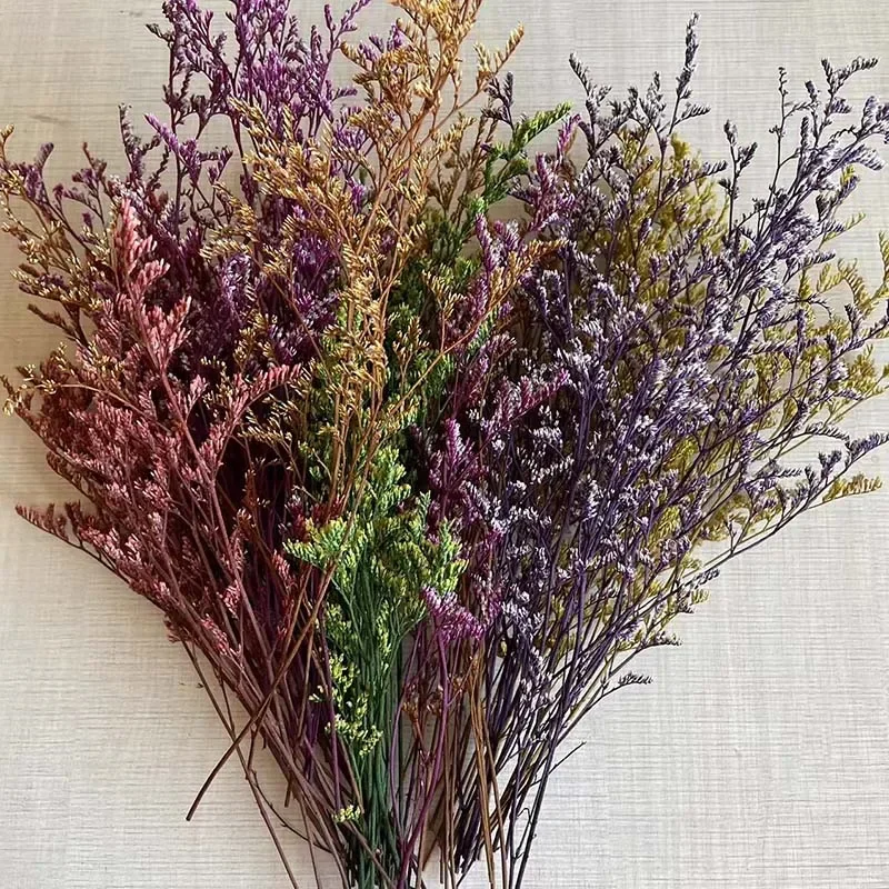 Preserved Grass Dancing Flower 10~12CM/15PCS Real Natural Small Dried Love Herb Flowers Branches DIY For Candle Making Materials