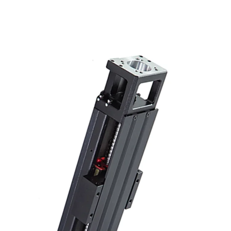 Moduli guide lineari con vite a ricircolo di sfere Hiwin di lunghezza personalizzati