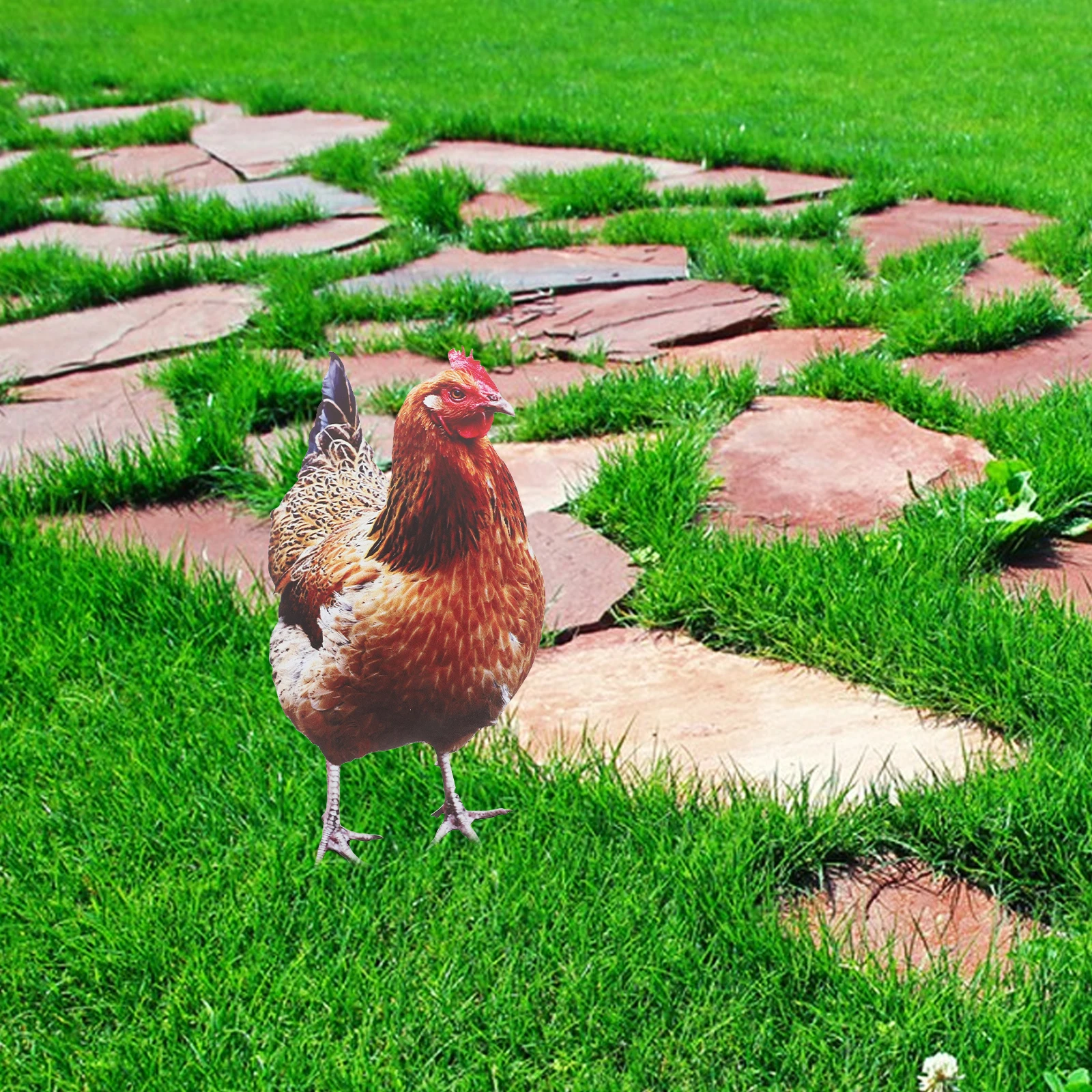 

Acrylic Decorative Inserts Garden Stake Durable Chicken Statues Lawn Ornaments Double Sided Prints Yard Signs