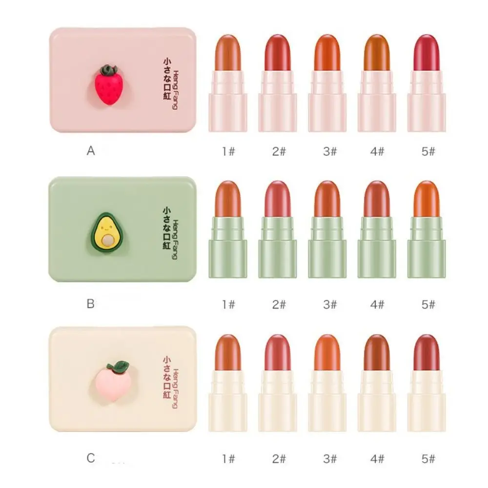 Ensemble de maquillage naturel, Mini rouge à lèvres, longue durée, imperméable, mat, tasse antiadhésive, brume douce, velours, brillant pour femmes, 5 pièces