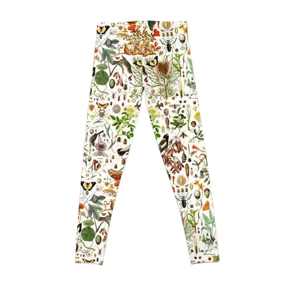 Biology 101 Leggings Sport-Leggings für Damen-Leggings