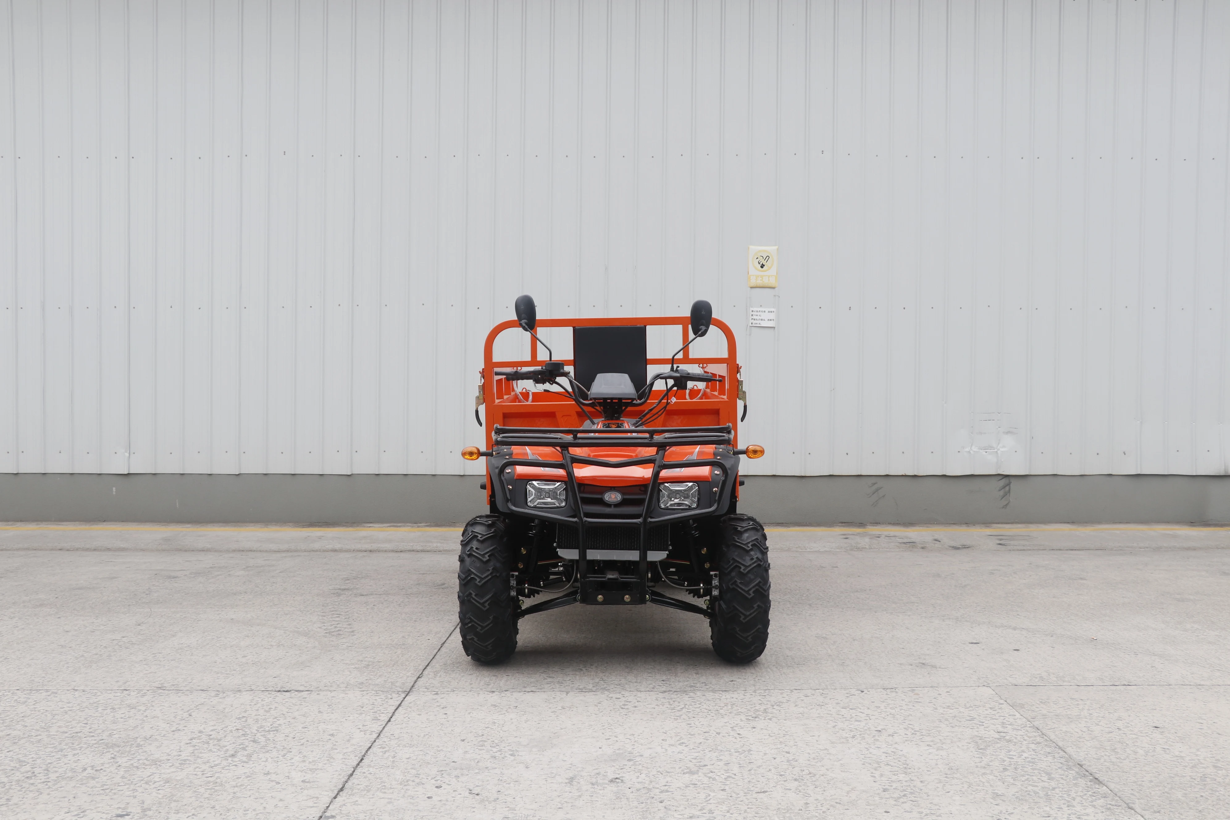 전기 4륜구동 농장용 대형 쿼드 바이크 250cc 30 - Outdoor Adventure Farm 리뷰 및 가격
