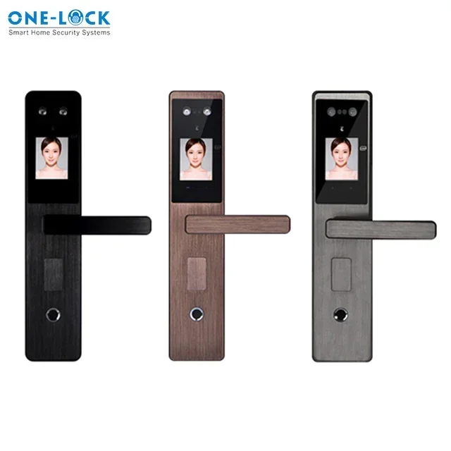 Face scanning smart lock grill door biometric safe door lock with Tuya zigbee app