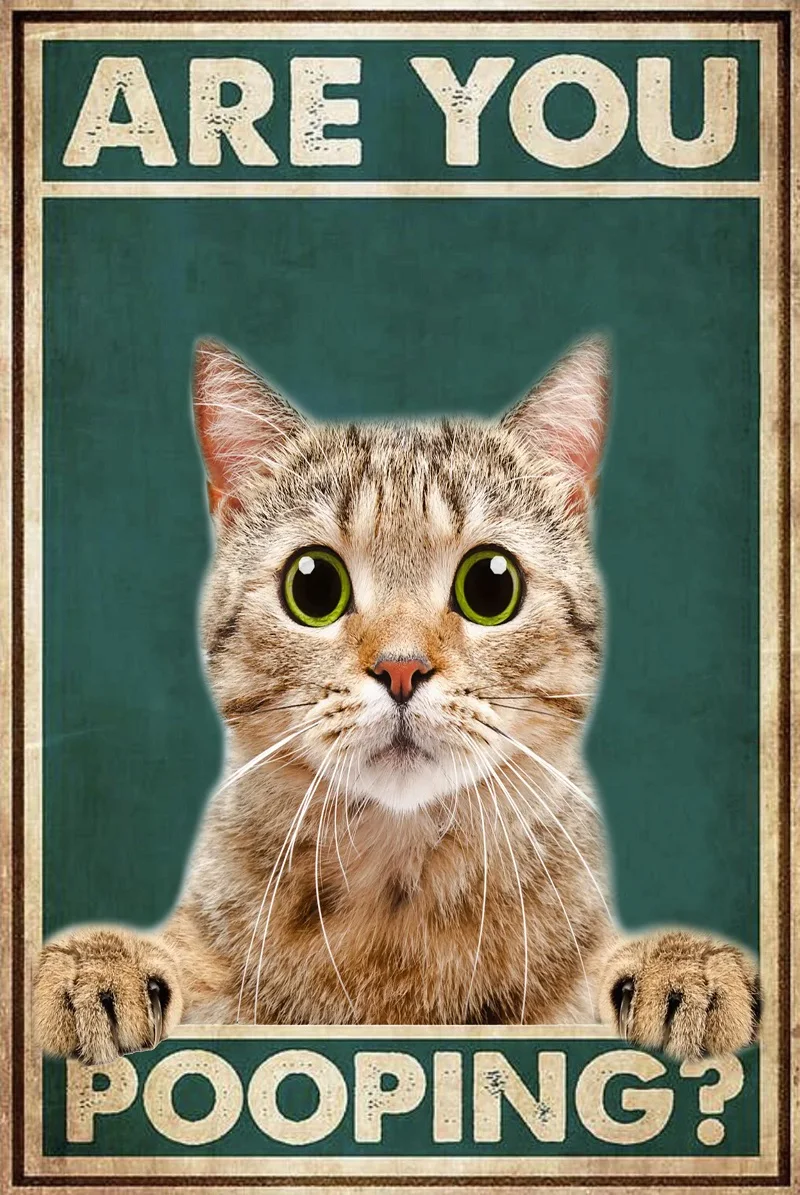 Katzen-Blechschild Porträt POSTER Metall Retro Vintage Bar Deko Wandposter 8x12 Zoll Halloween Dekoration Wanddeko -2 Schilder