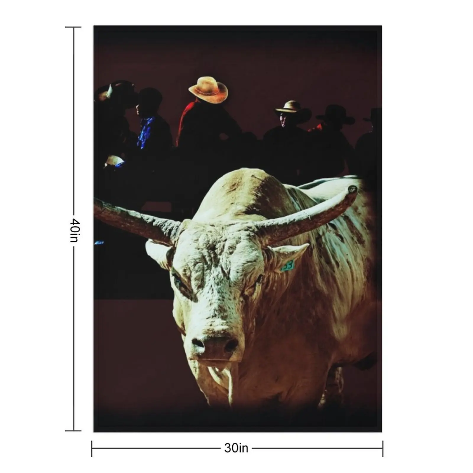 BULL RIDERS, RODEO, YOUNG GUNS, EXTREME SPORT Throw Blanket Soft Big valentine gift ideas Warm Thin Blankets