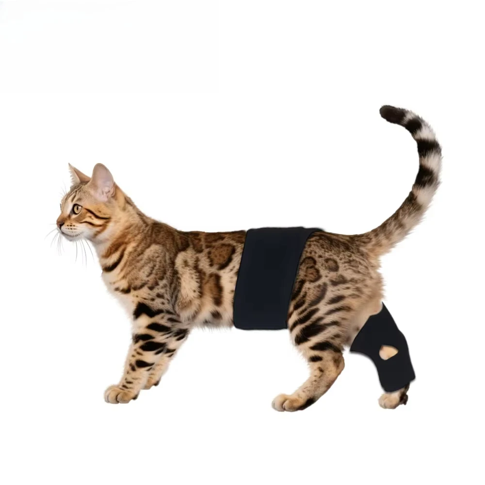 Pulse Wireless Infrared Dog&Cat Leg Wrap Veterinary 660nm 850nm Animal Pain Relief Therapy Red Light Therapy for Pet