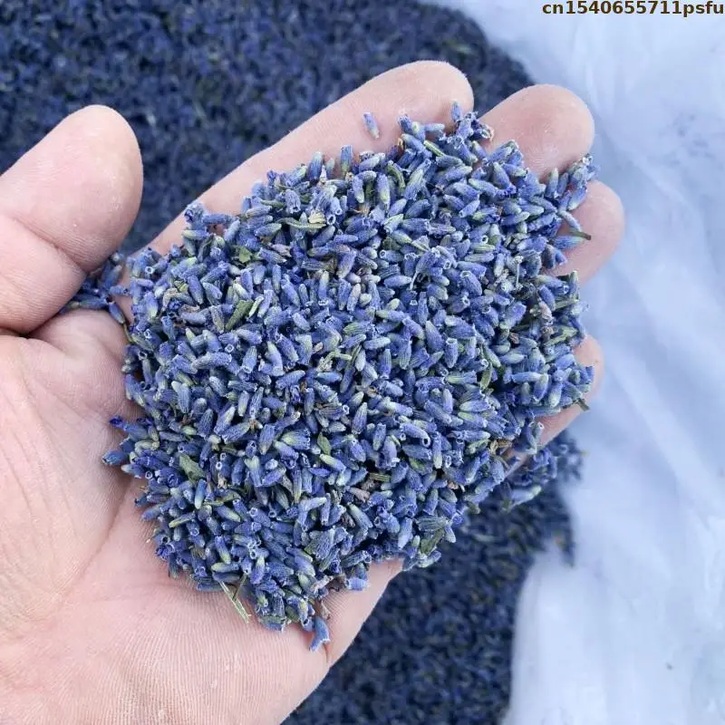 Top Natural Lavender Dried Flower For Pillow Sachet Filling Soap Candle Lavender Flavor Perfume Tea Essence Making Materials