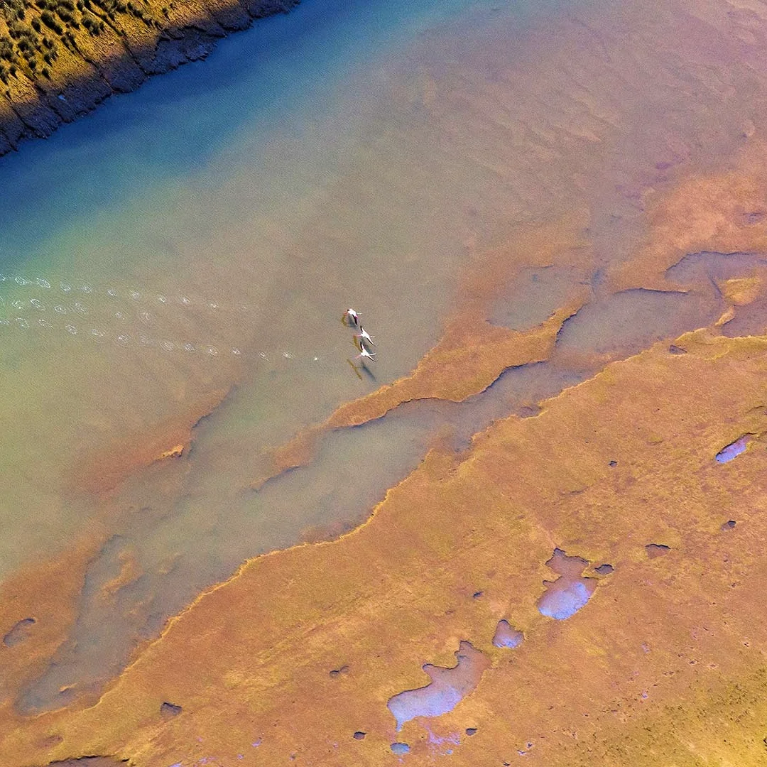 

12.3+12.3inch Dual Android Screen For Porsche Macan 2014-2017 Car GPS Navi Multimedia DSP Video Player Radio Head Unit Carplay