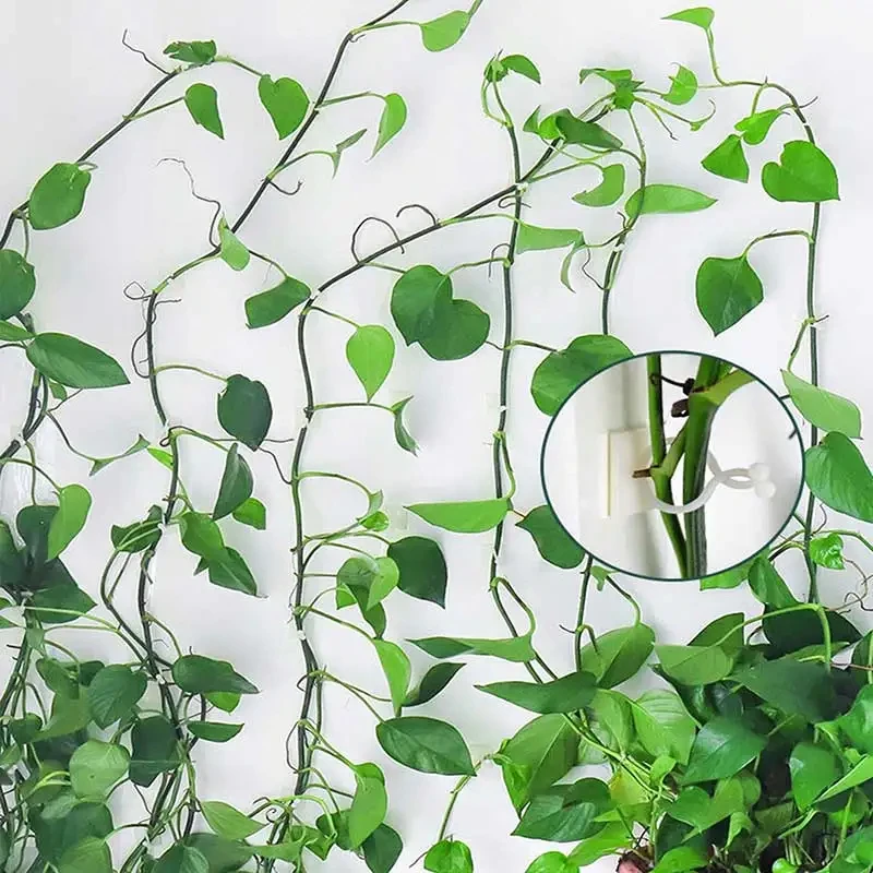 20pcs Plant Climbing Wall Fixture Clips Rattan Vine Fixer Self-Adhesive Hook Invisible Garden Binding Clip Wall StickyClip
