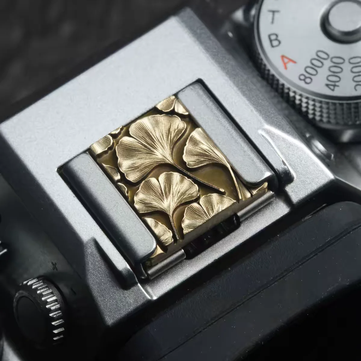 ฝาครอบฮอตชูว์แบบวินเทจพร้อมปุ่ - Lens Cap Vintage บทวิจารณ์และราคา
