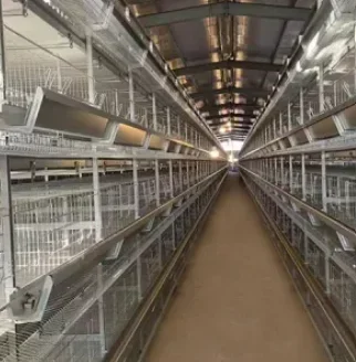 Broiler Chicken Raising System 'H' Type Cage for Poultry Farming Equipment