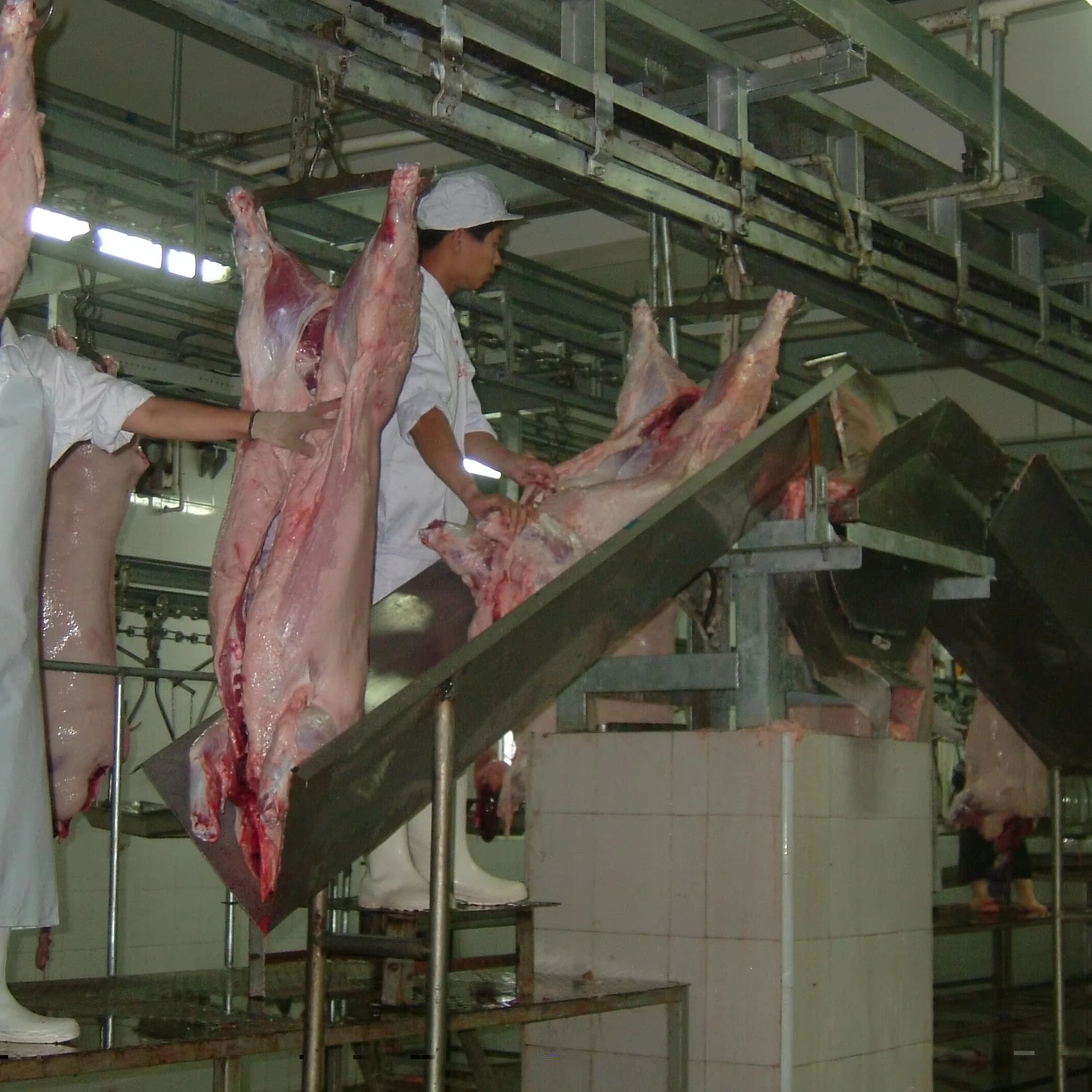 Caja de Cambios de Acero para Matadero, Línea de Producción de Mataderos, Equipo para Granjas Porcinas, Motor de Caja de Cambios para Carnicería