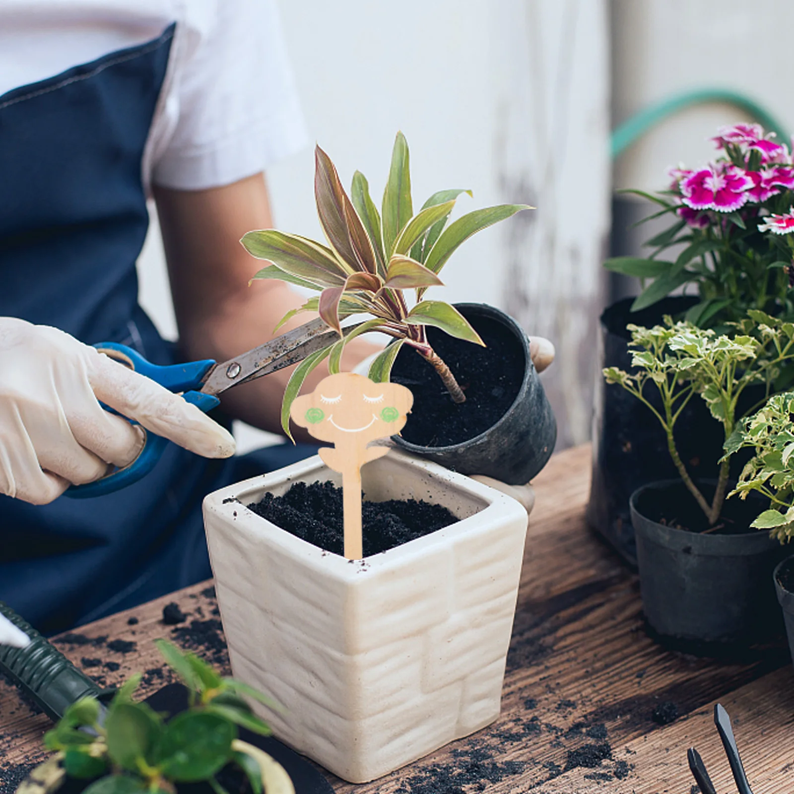 

50Pcs Plant Tags Wooden Garden Markers Durable Practical Safe for Hands Wide Applications Greenhouse Yard Decor