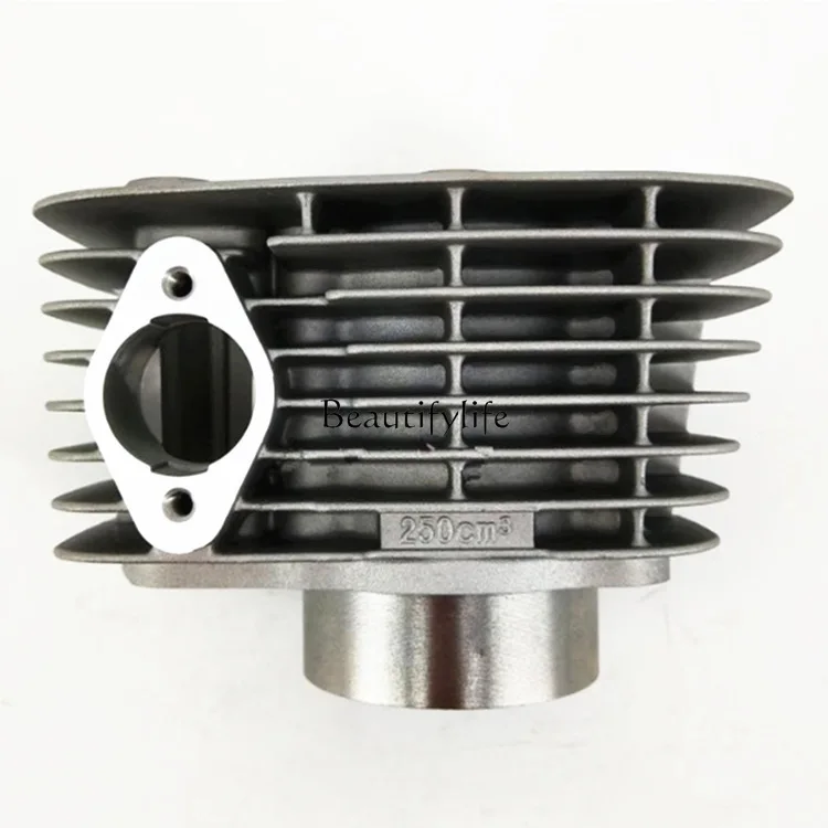 

Motorcycle CB250 CRF230F SL230 1997-2008XR230 Cylinder engine