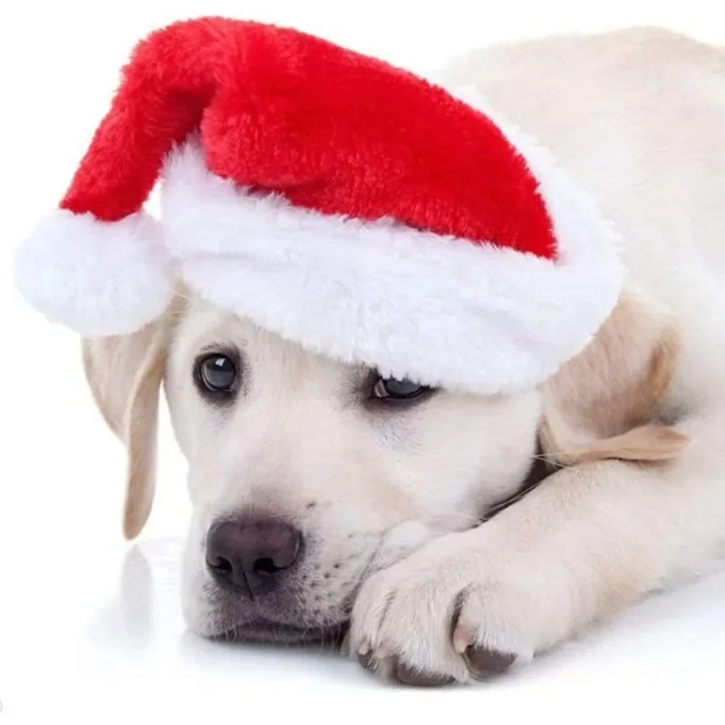 Pet Cat Dog Christmas Hat Cap Puppy Dog Accessories for Small Dogs Dog Costume Dog Hats for Cats Dog Costumes Pet Supplies